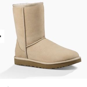 UGG classic short boot in sand